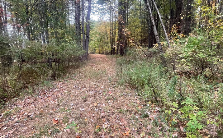 Hillcrest Road