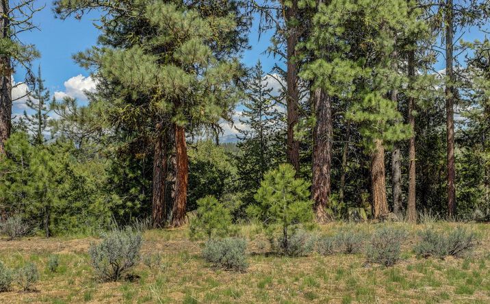 8 Targhee Ct, McCall