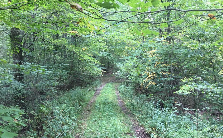 Hull Road, Gallatin