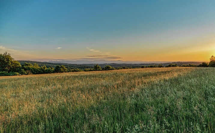 Iron Hill Road, Austerlitz