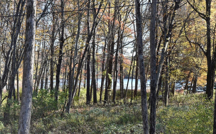 Long Pond Rd., Clinton