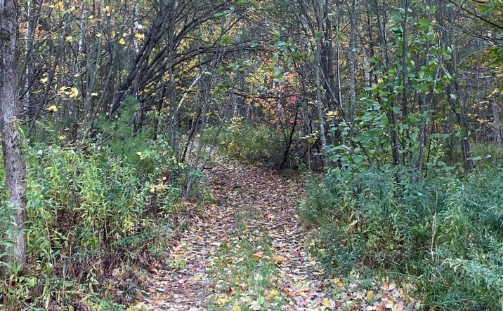 Sisson Hill Road, New Marlborough