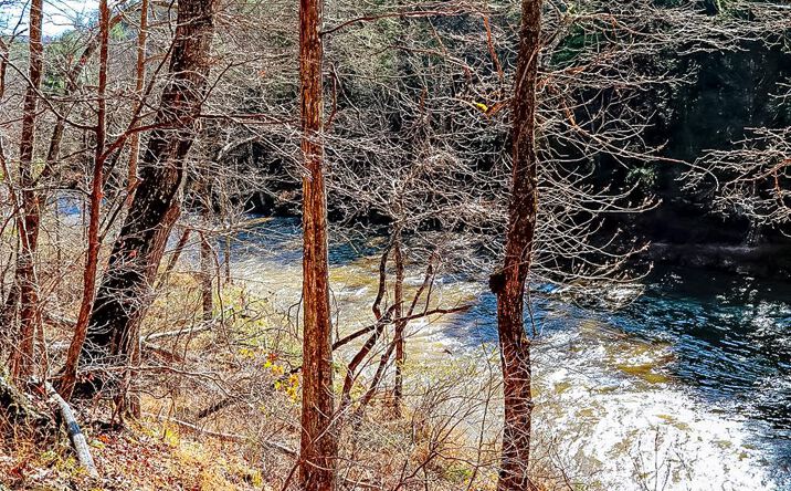Lot 2 Lumber Ln, Hillsville
