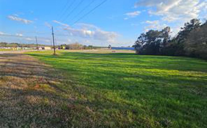 0 Hickman Avenue, Elba