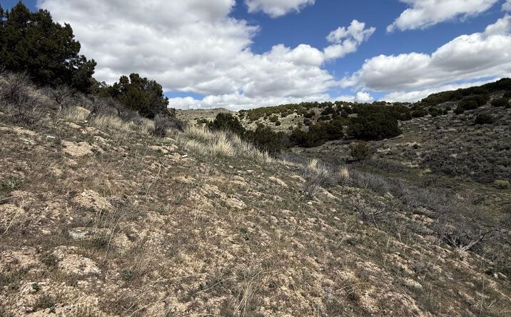 6-31A-029, Elko