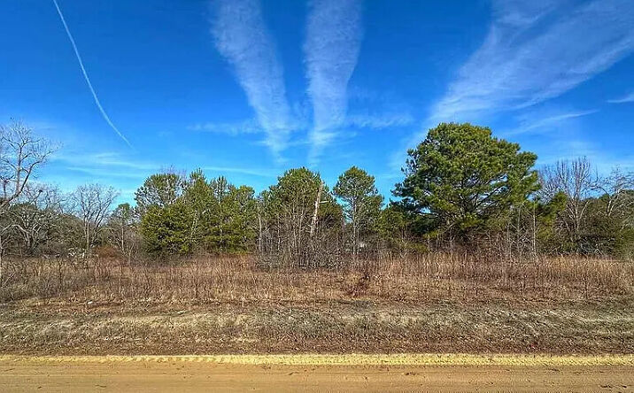 LOT 13 Copeland Moody Rd, Latta