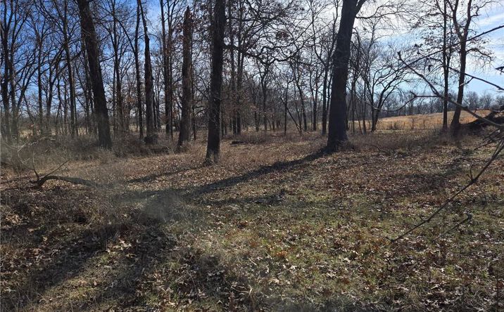 Tract B NW County Rd 17402 N/A, Archie