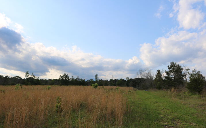 Road 418, Union