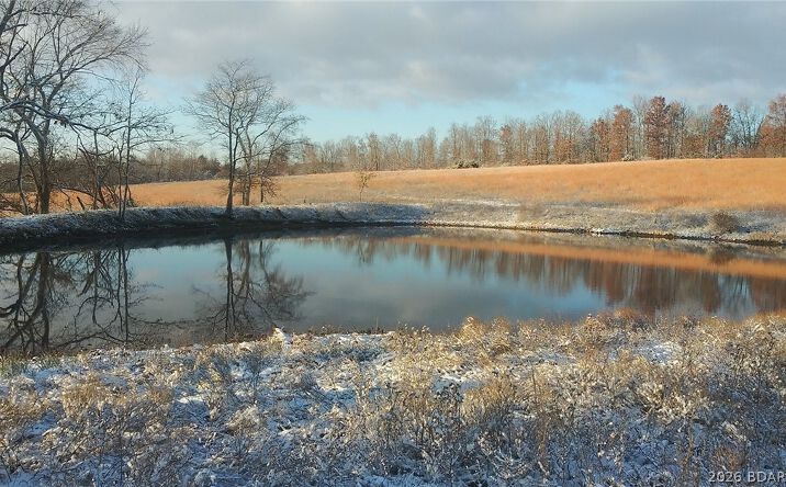 80 ac. Ripley Co 160W-15 Road, Other