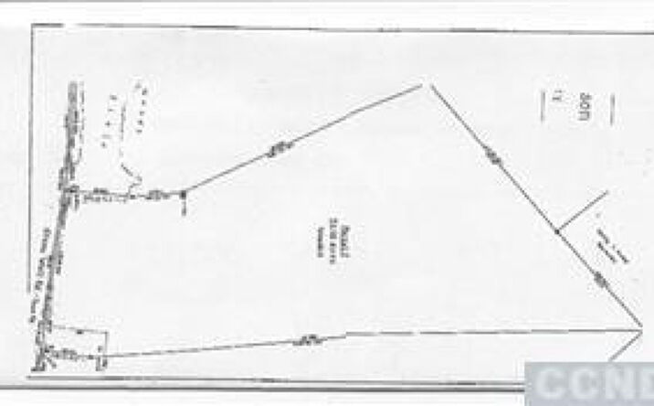 Stonewall Road, Austerlitz