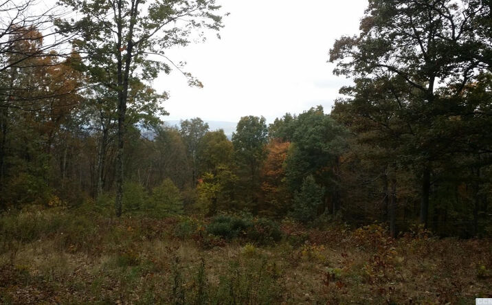 Meadow Lane, Hillsdale