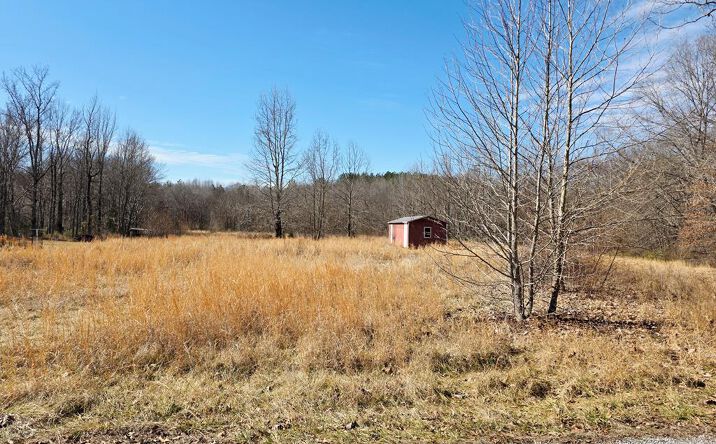 603 Gobbler Dr, Holladay