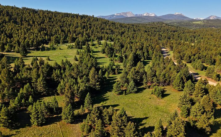 NHN Lot 8 Phase 3A Dolus Lakes Road, Deer Lodge