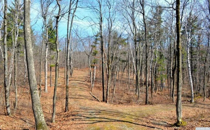 Ridge (Lot 3A) Lane, Hillsdale