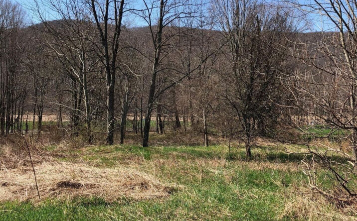 2491 Route 23, Hillsdale