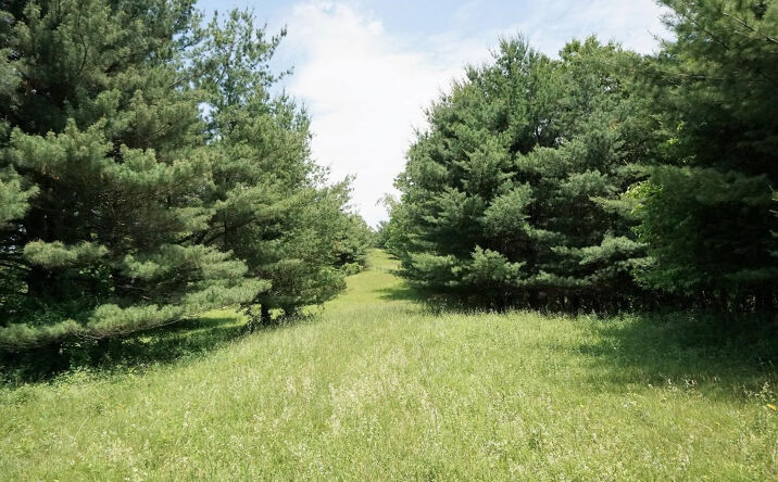 Coyote Ridge Road, Clinton