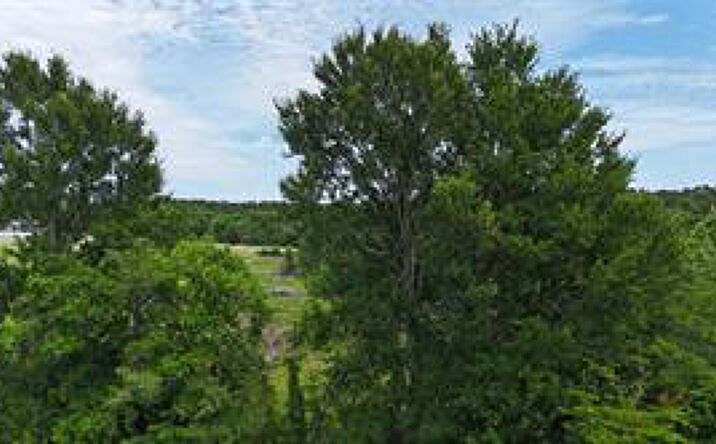 TBD 48 Acres US Highway 59 S, Livingston