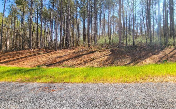 68 Mountaingate Way, Ellijay
