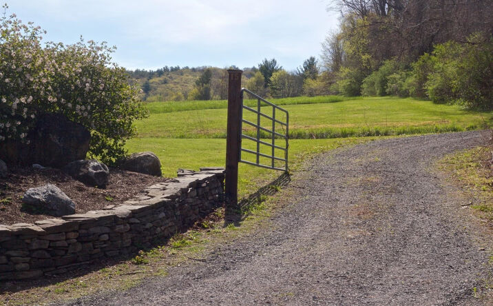 Mansfield Road, Hillsdale