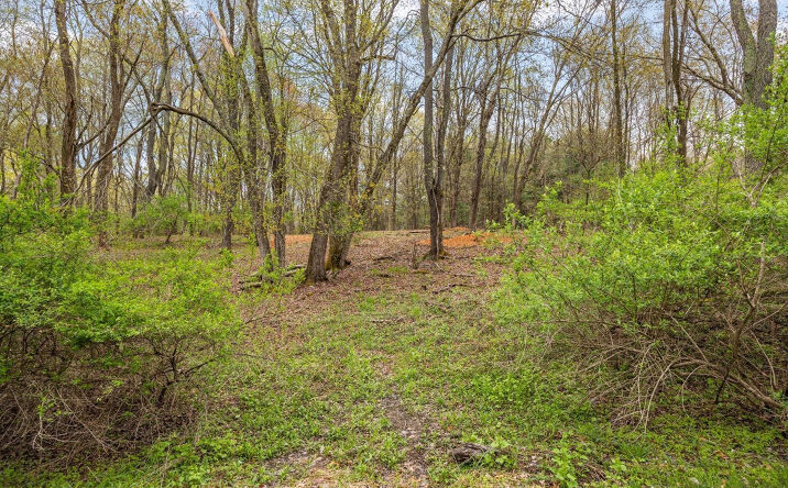 Long Lake Road, Ancram