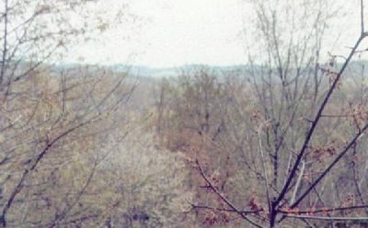 Route 82