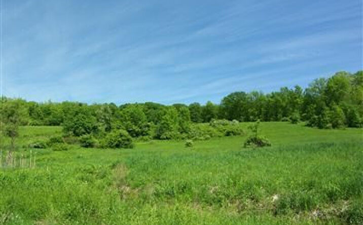 NYS Route 203, Austerlitz