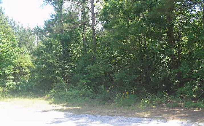 Battlefield Road, Little Rock