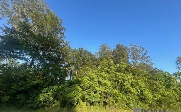 Lot B-4 Perrilloux Rd, Livingston