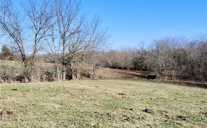 1125 S Van Dyke Road, Buckner