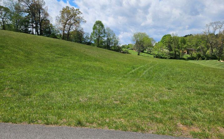 Lot 119 Yeary Trail, Abingdon