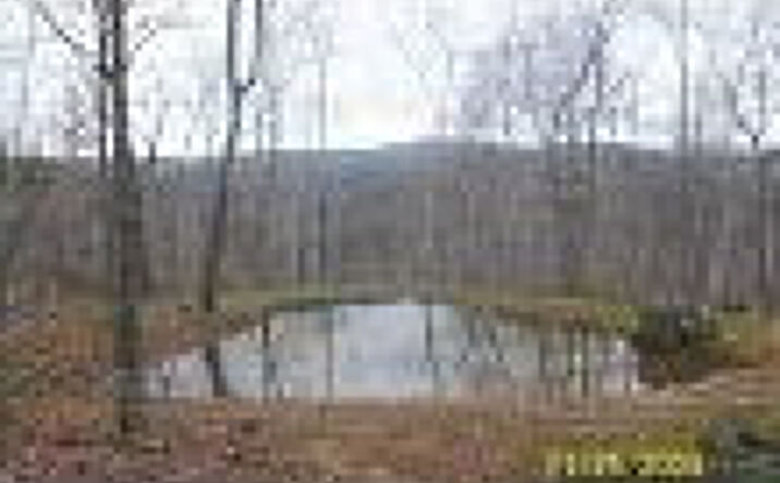 NYS Route 22, Canaan