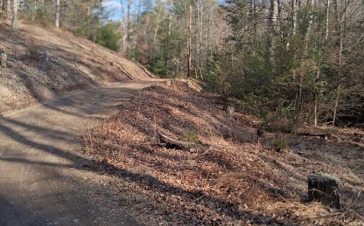TBD Gullion Fork Road, Wytheville