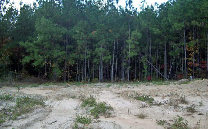 PICKARD CAMPBELL Road, Causeyville