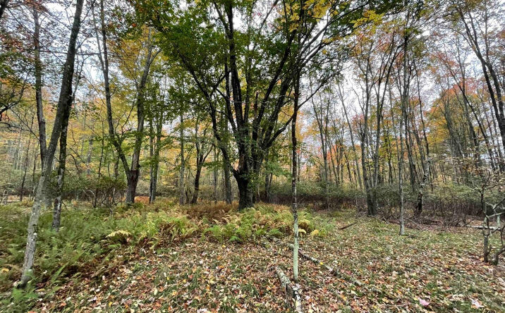 Mount Hope Road, Bethel