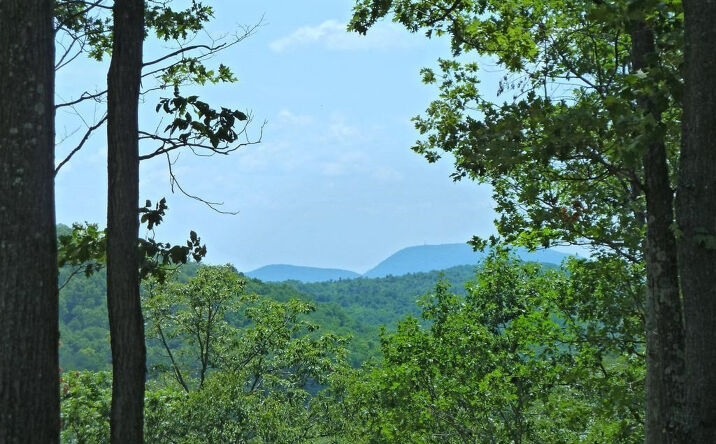 3163 rt.8, Gallatin