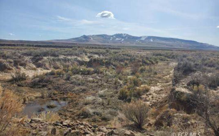 SEC 31 T36N R47E Parcel, Battle Mountain