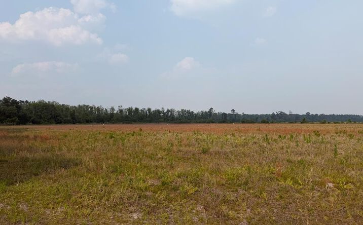 Moore Road Tract 11, Naylor