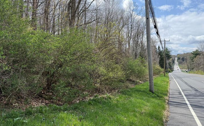 Torrington Rd, Litchfield