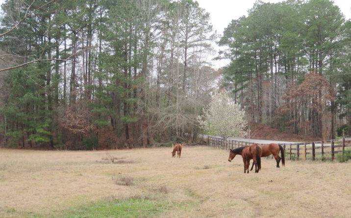 Suqualena Road, Meridian