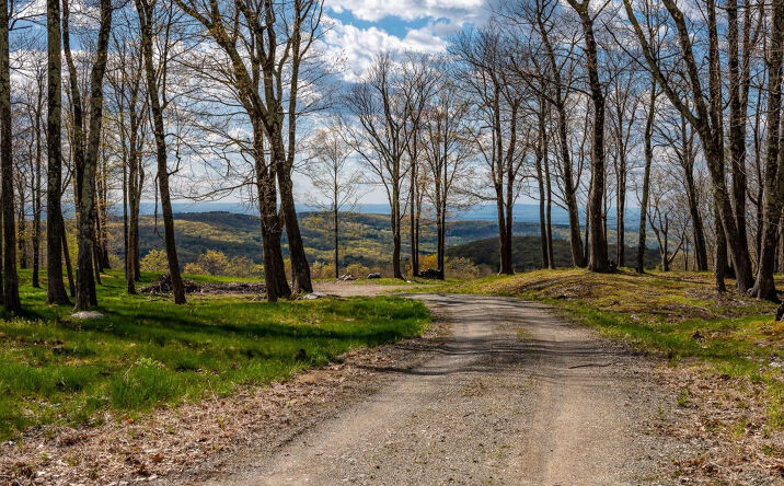 Lunde Road, Austerlitz