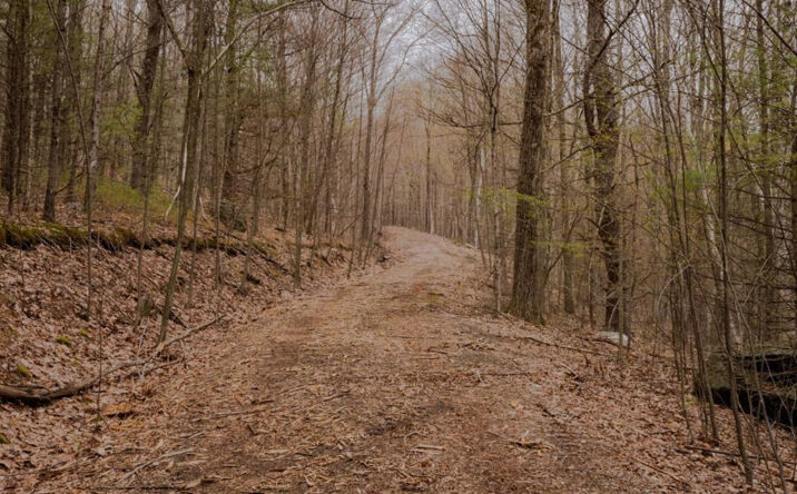 East Hill Road, Austerlitz