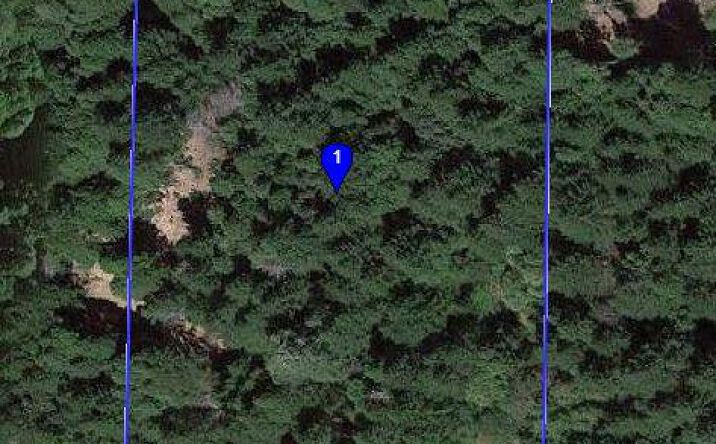 840 Spring Road, Alderpoint