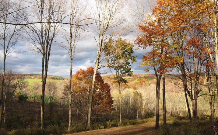 23 Less Traveled Road, Chatham