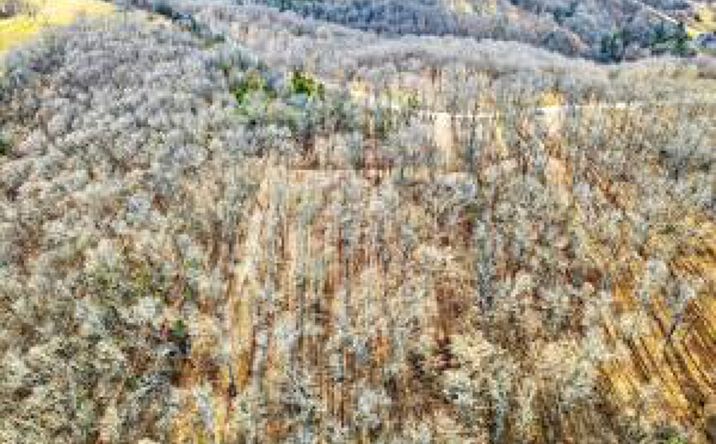 000 Regal Heights Lot 32, Galena