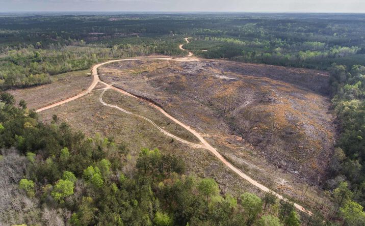 Piney Woods Road, Hickory