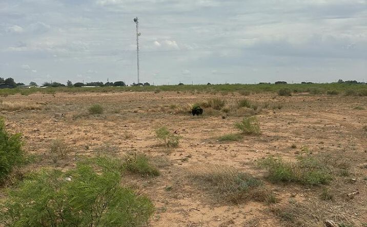 TBD E County Rd 95, Midland
