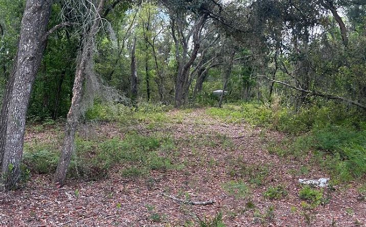 Jody Morgan Rd, Perry