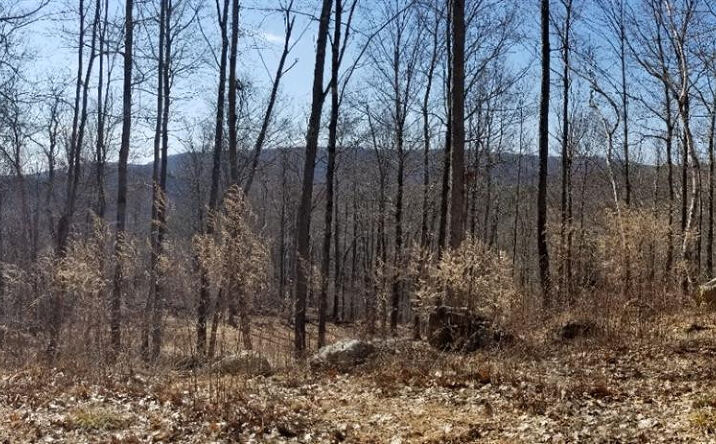 Tunnel Hill Road, Canaan