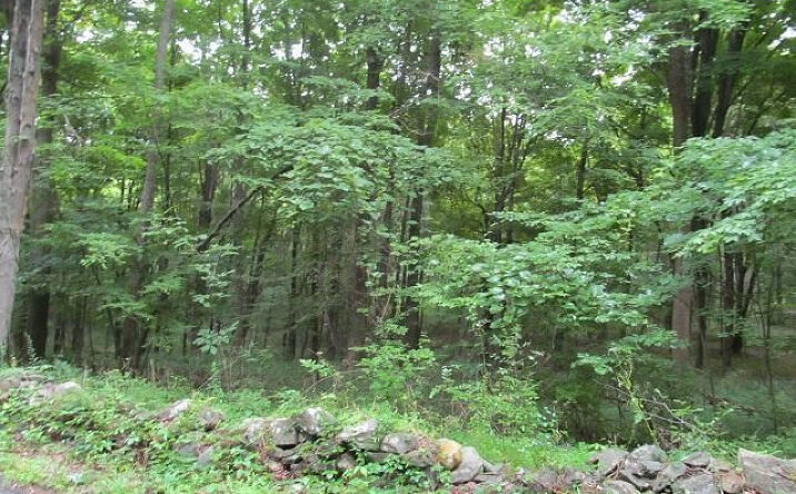Browning Road, Clinton