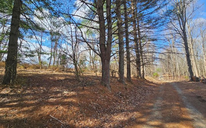 TBD Fries Rd, Galax